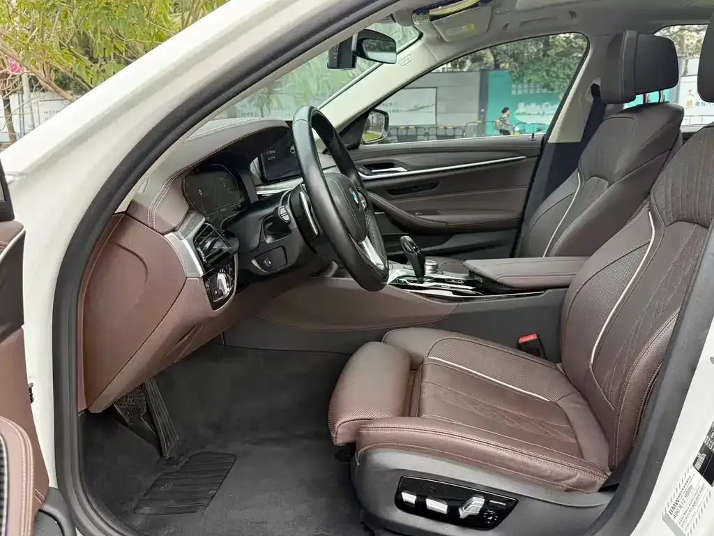 BMW 5 Series 2021 из CN, фото 9