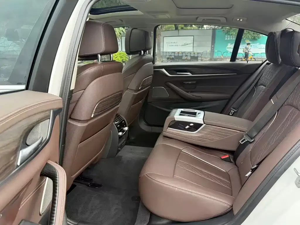 BMW 5 Series 2021 из CN, фото 4