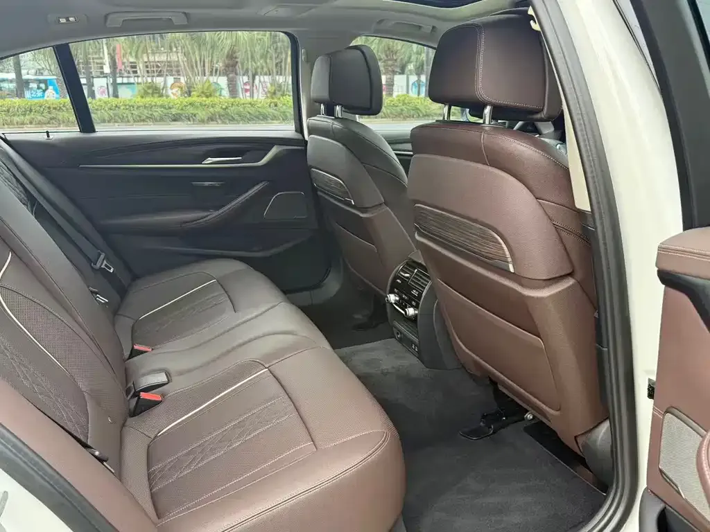 BMW 5 Series 2021 из CN, фото 6