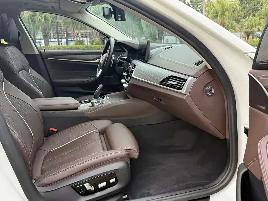 BMW 5 Series 2021 из CN, фото 7