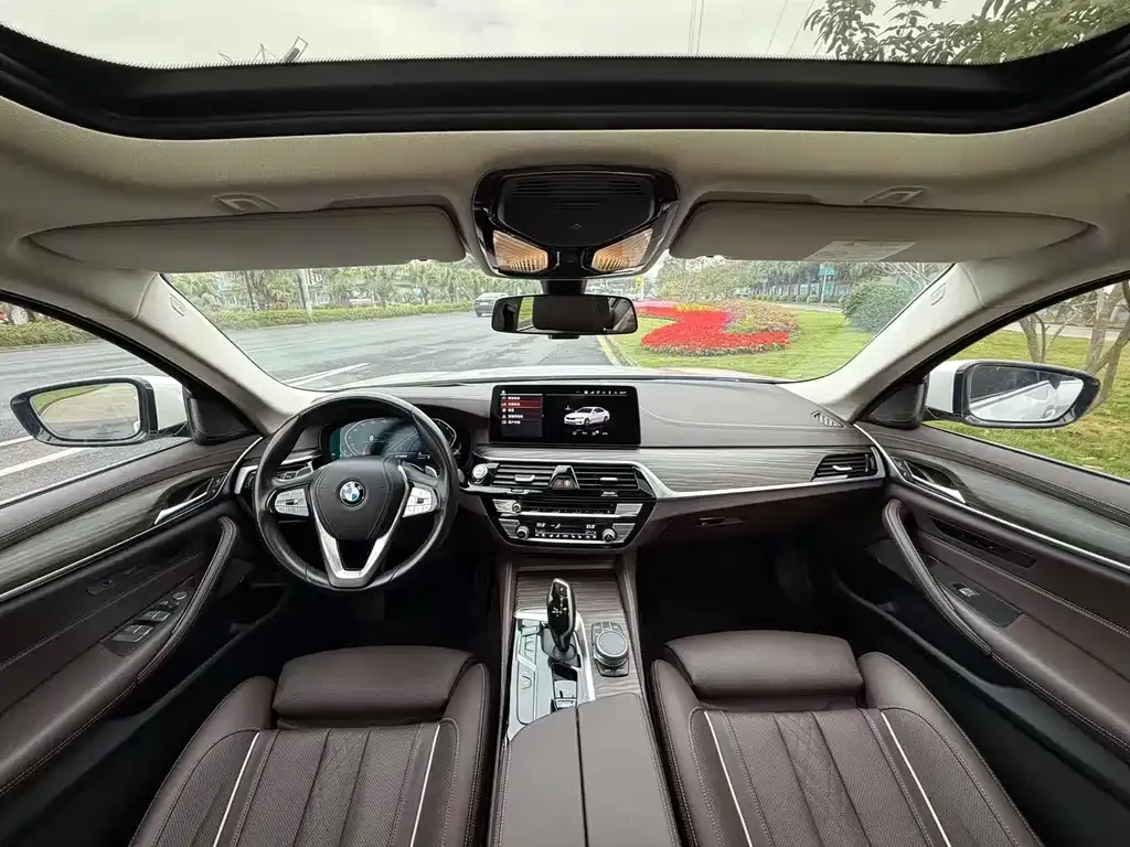 BMW 5 Series 2021 из CN, фото 3