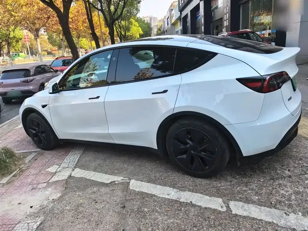 Tesla Model Y — фото 10