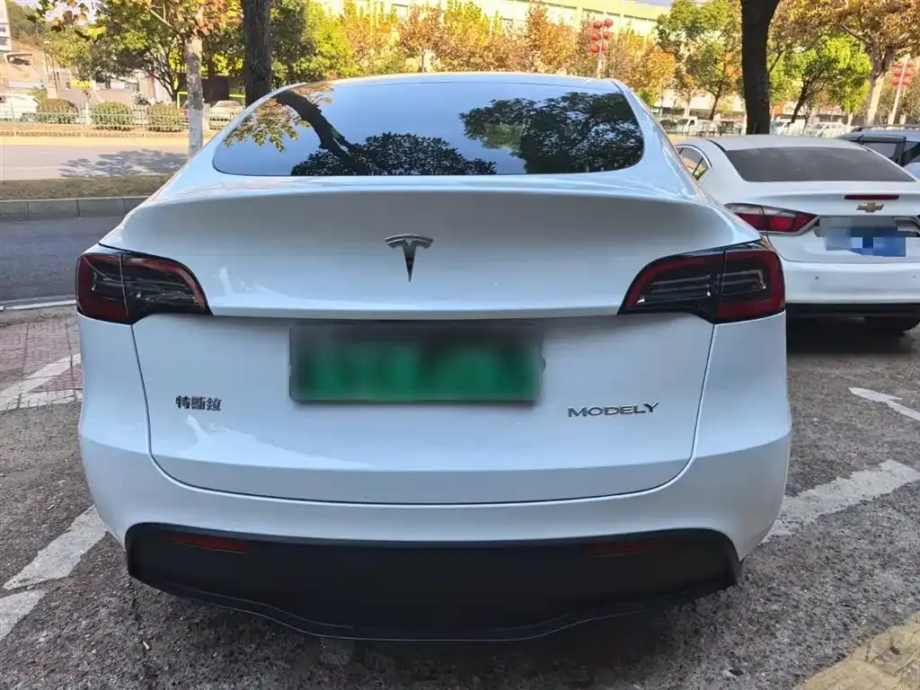 Tesla Model Y — фото 4