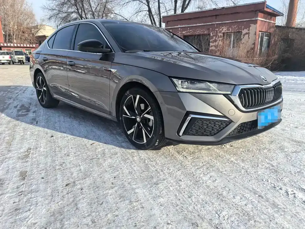 Skoda Octavia 2021 из CN, фото 2