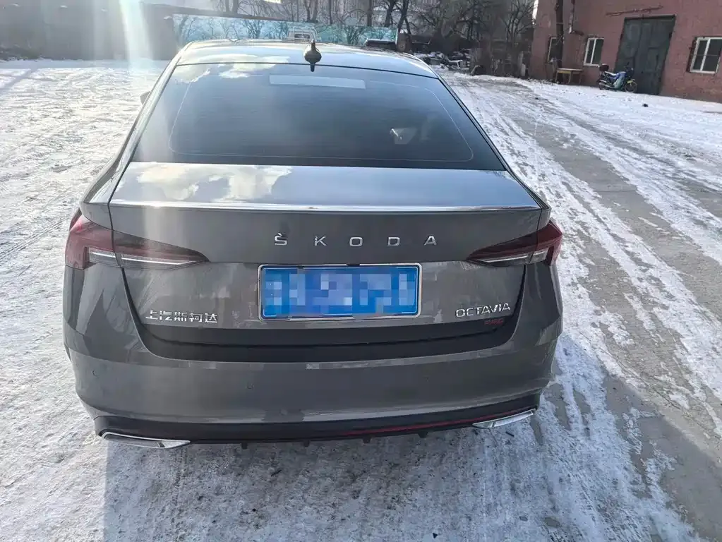 Skoda Octavia 2021 из CN, фото 4