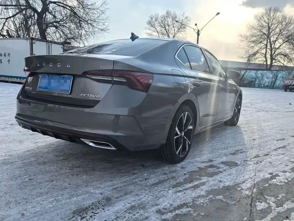 Skoda Octavia 2021 из CN, фото 5