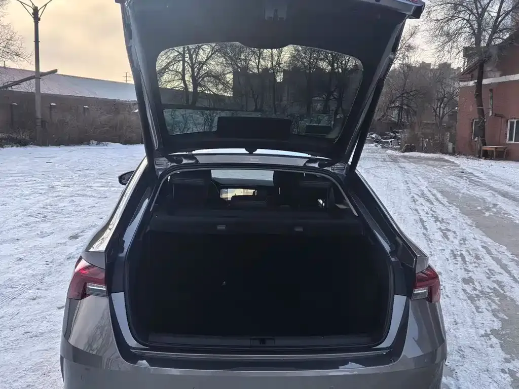 Skoda Octavia 2021 из CN, фото 9