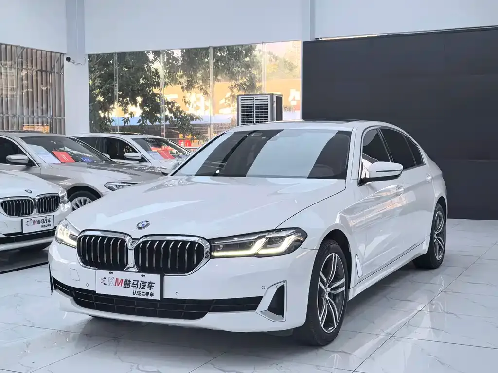 BMW 5 Series 2021 из CN, фото 1