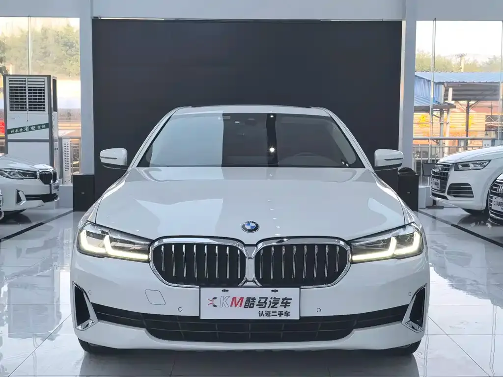 BMW 5 Series 2021 из CN, фото 9