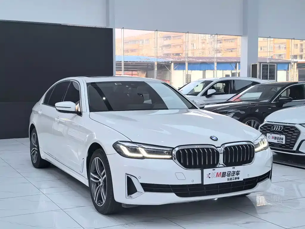 BMW 5 Series 2021 из CN, фото 5