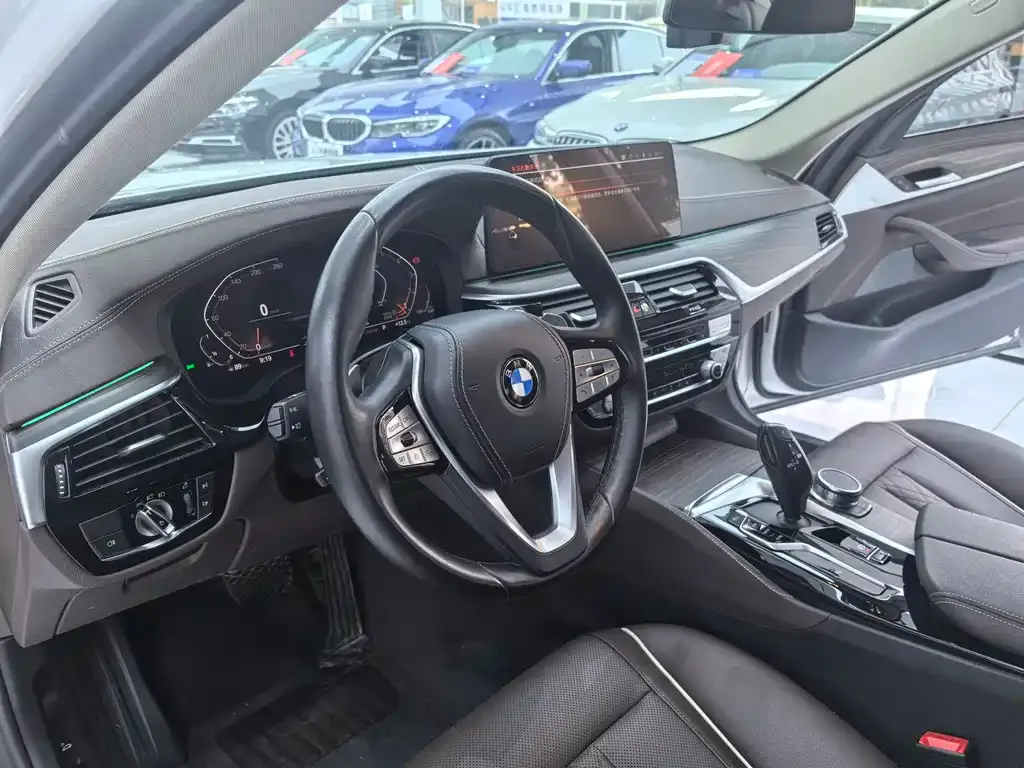 BMW 5 Series 2021 из CN, фото 4