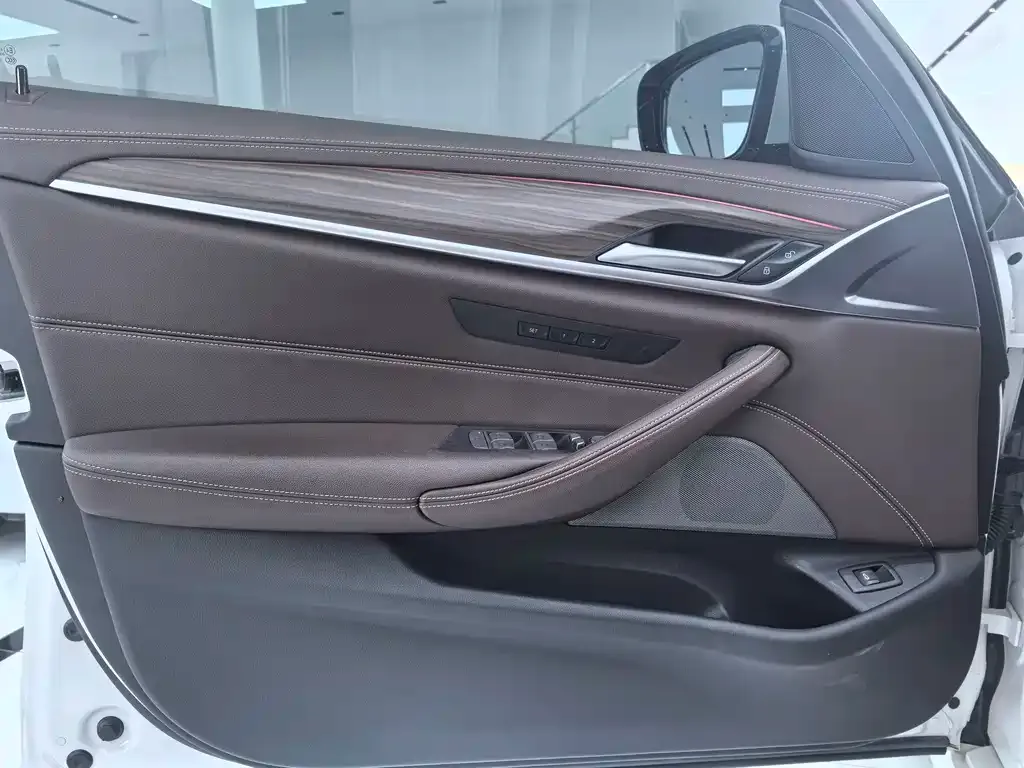 BMW 5 Series 2021 из CN, фото 8