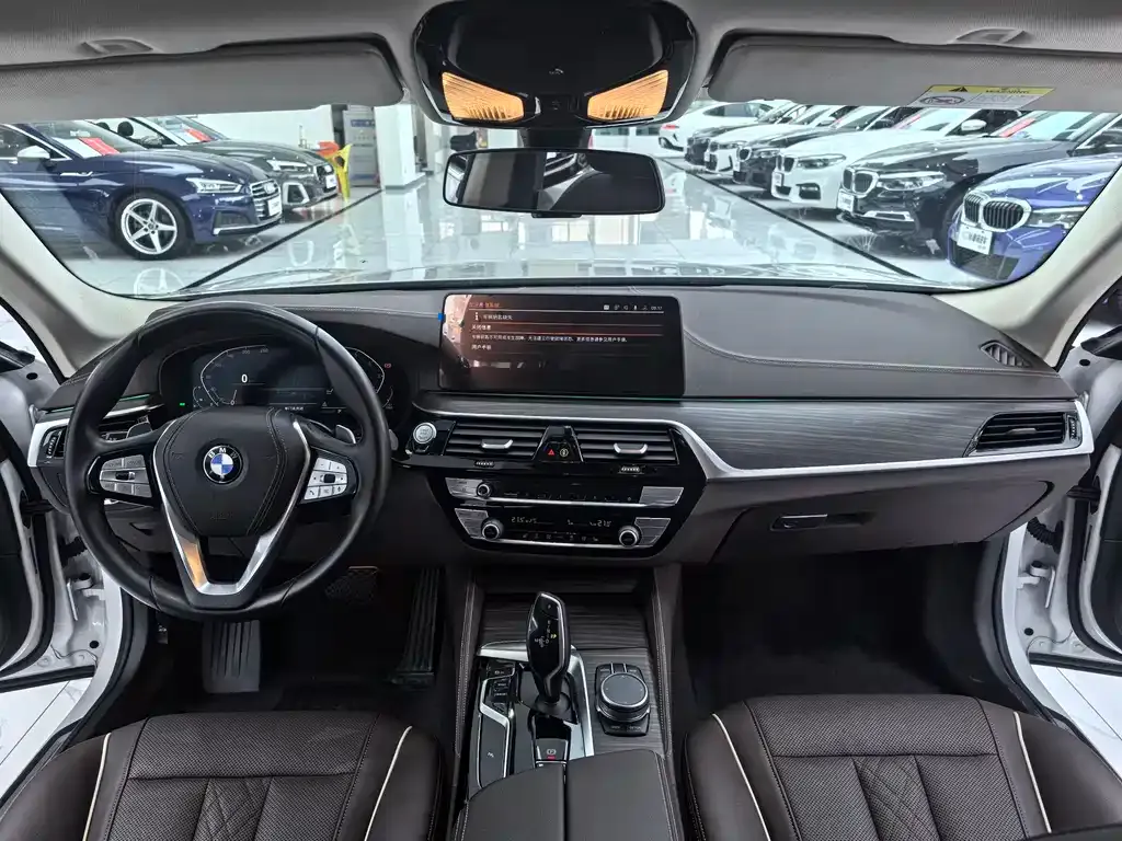 BMW 5 Series 2021 из CN, фото 10