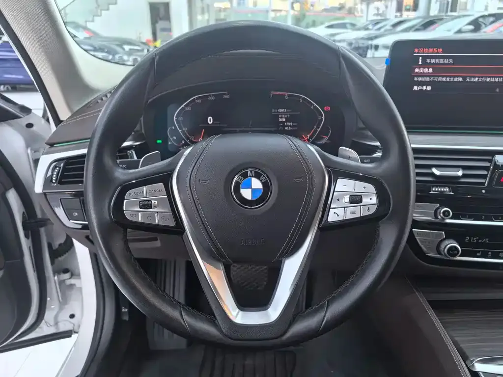 BMW 5 Series 2021 из CN, фото 6