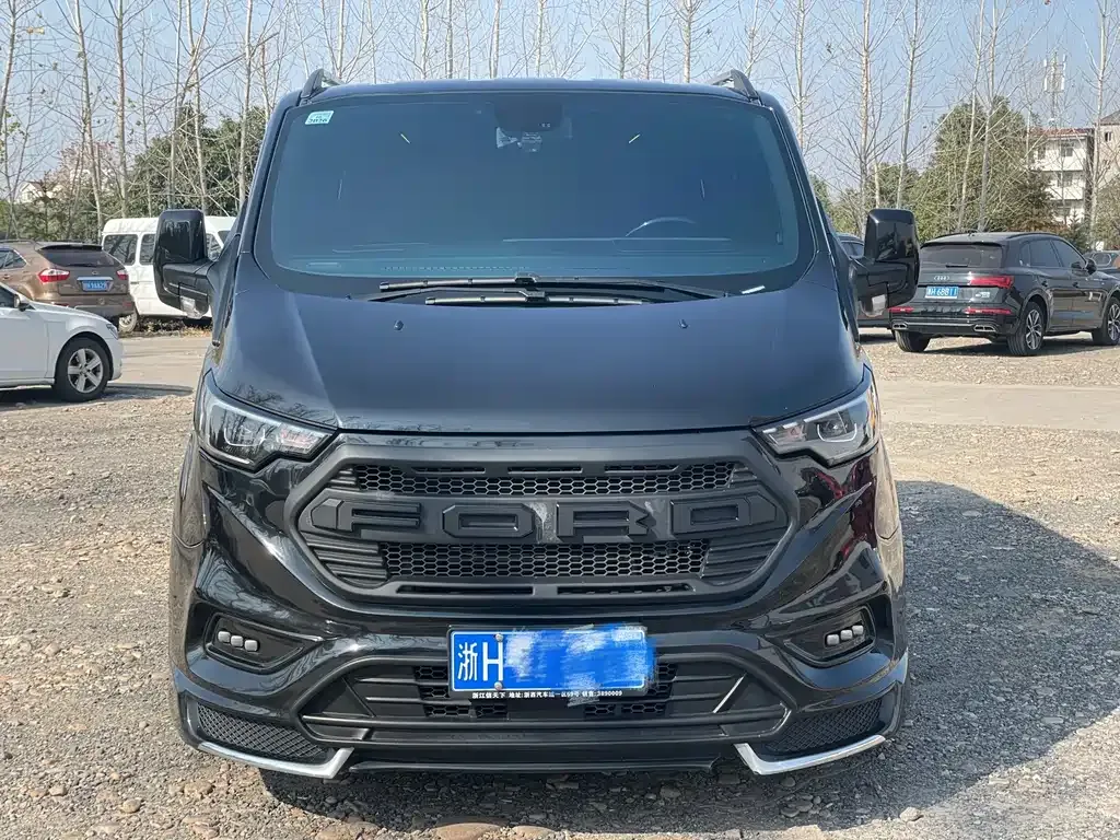 Ford Tourneo 2024 из CN, фото 10