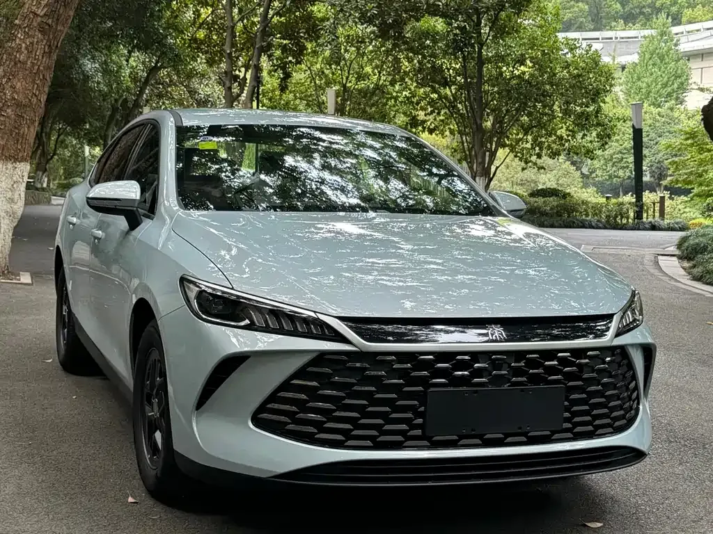 BYD Qin PLUS 2025 из CN, фото 1