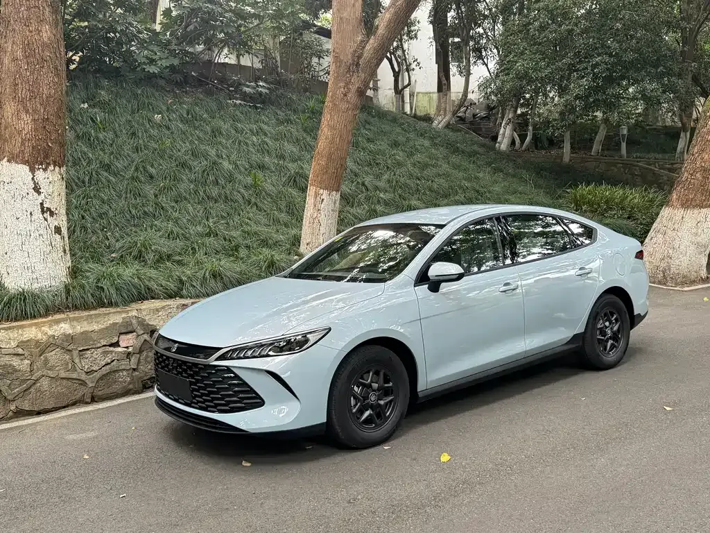 BYD Qin PLUS 2025 из CN, фото 10