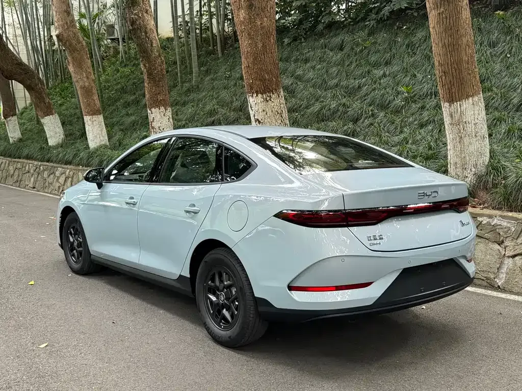 BYD Qin PLUS 2025 из CN, фото 4