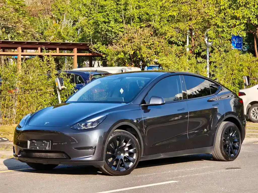 Tesla Model Y — фото 1