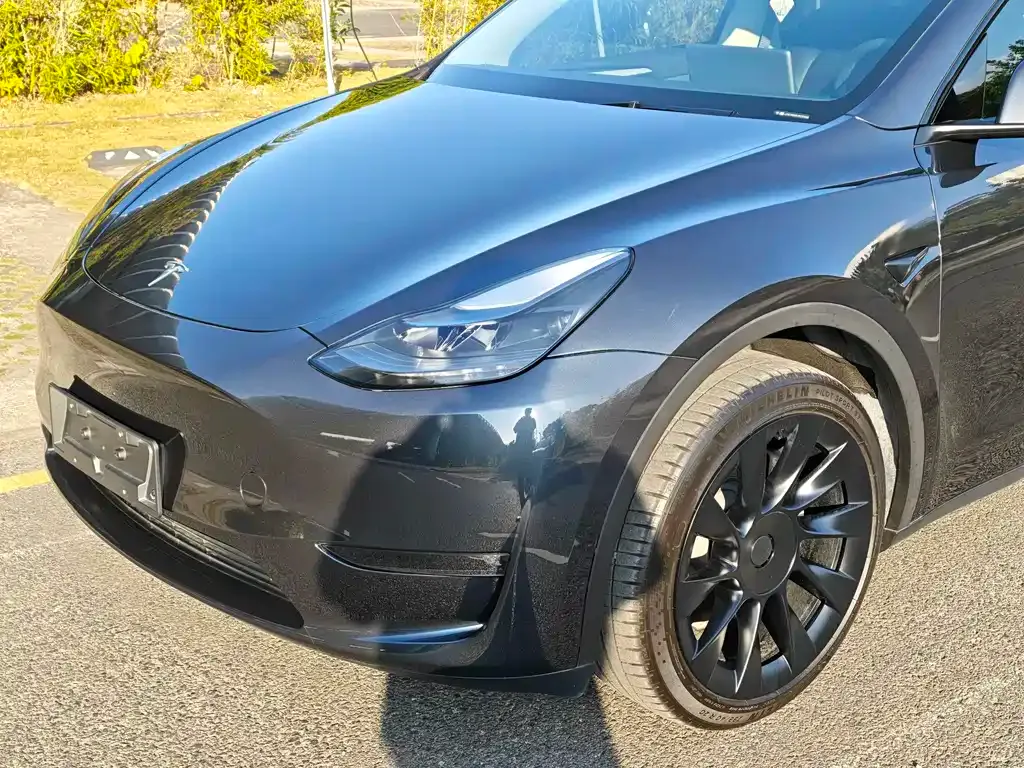 Tesla Model Y — фото 8