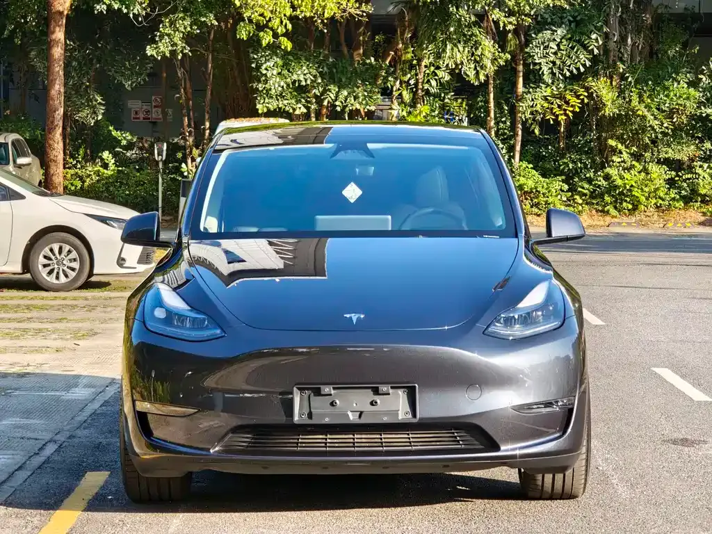 Tesla Model Y — фото 3