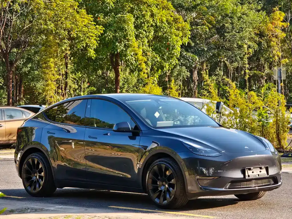 Tesla Model Y — фото 9