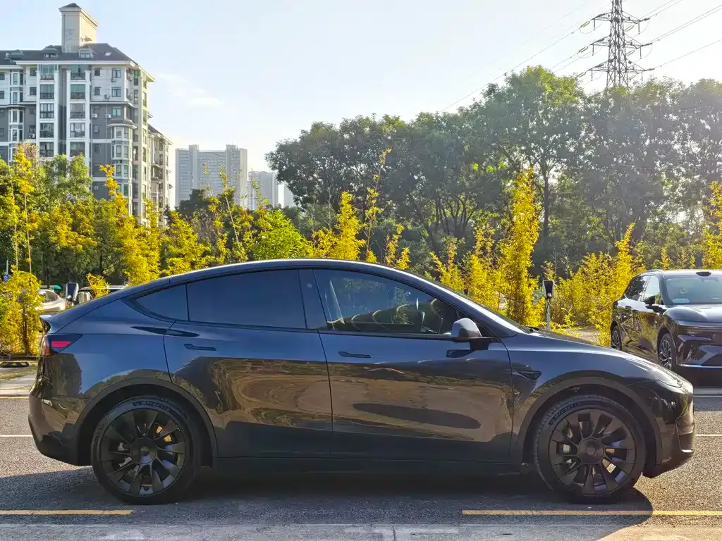 Tesla Model Y — фото 6