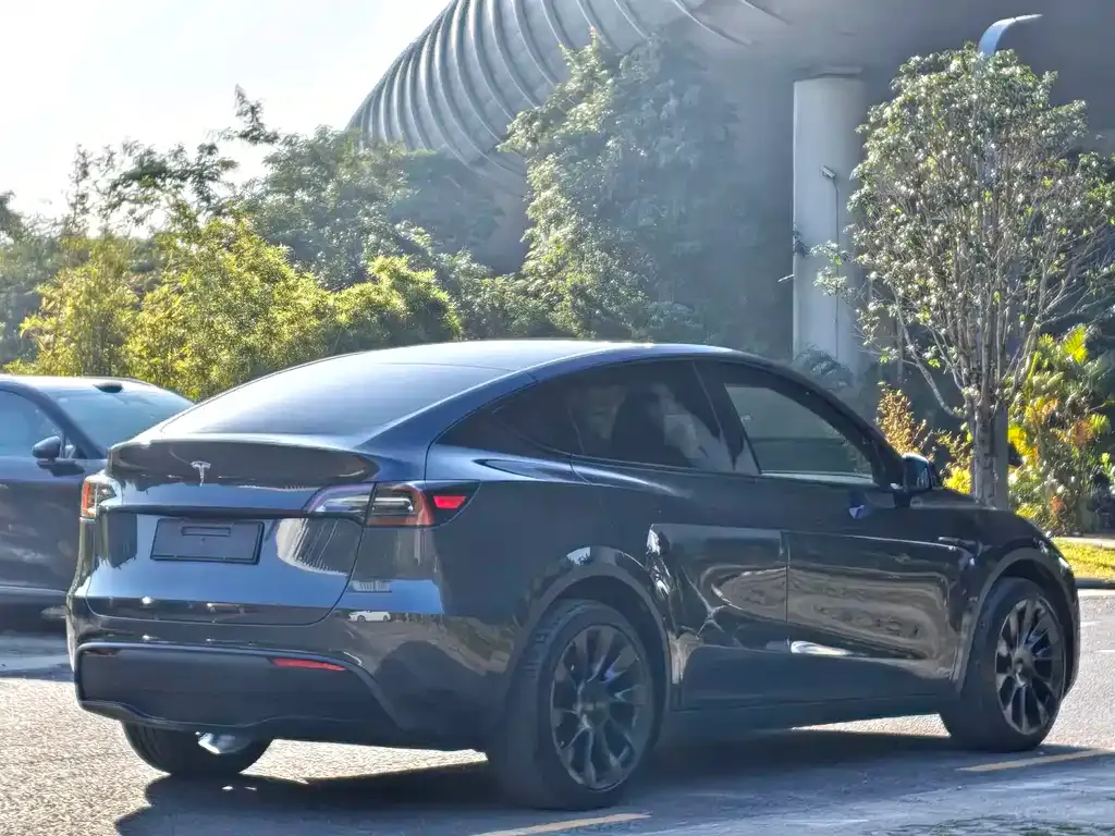 Tesla Model Y — фото 2
