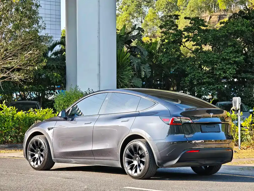 Tesla Model Y — фото 10