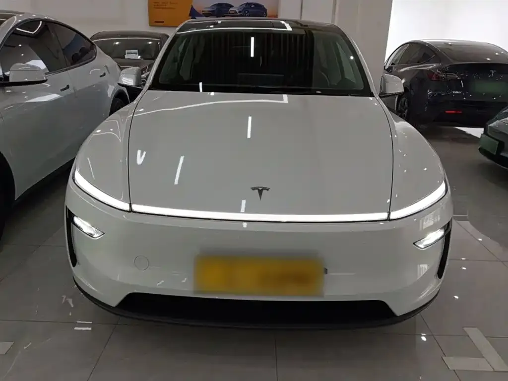 Tesla Model Y 2025 из CN, фото 5