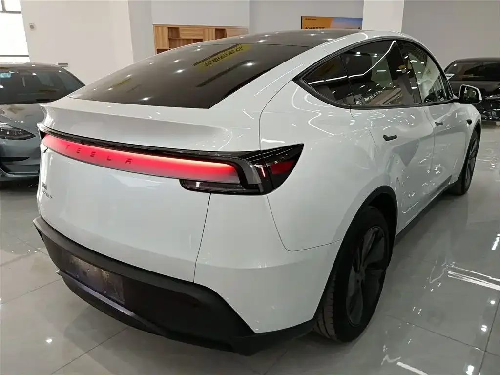 Tesla Model Y 2025 из CN, фото 7