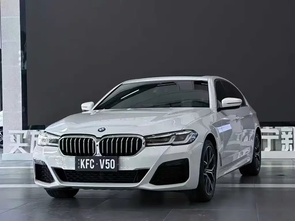BMW 5 Series 2021 из CN, фото 1