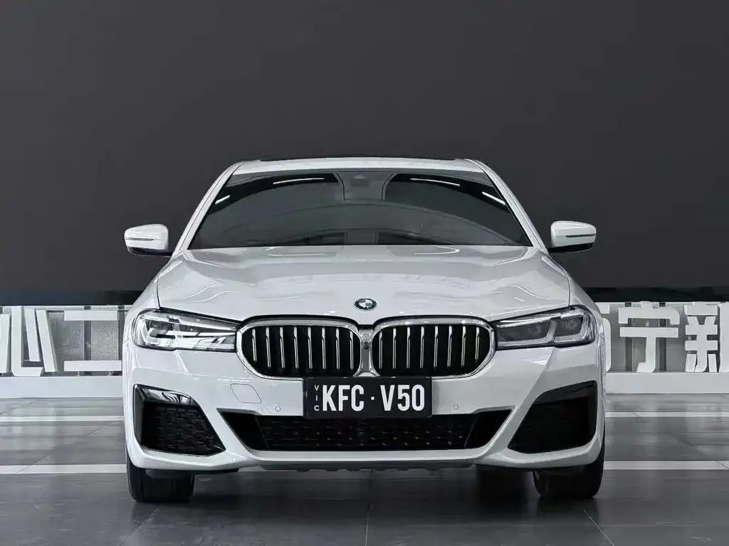 BMW 5 Series 2021 из CN, фото 2