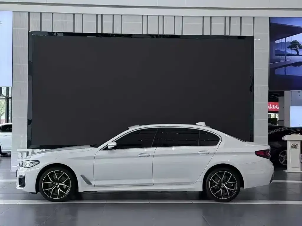 BMW 5 Series 2021 из CN, фото 4