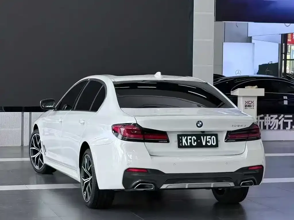 BMW 5 Series 2021 из CN, фото 7