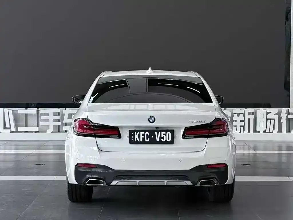 BMW 5 Series 2021 из CN, фото 5