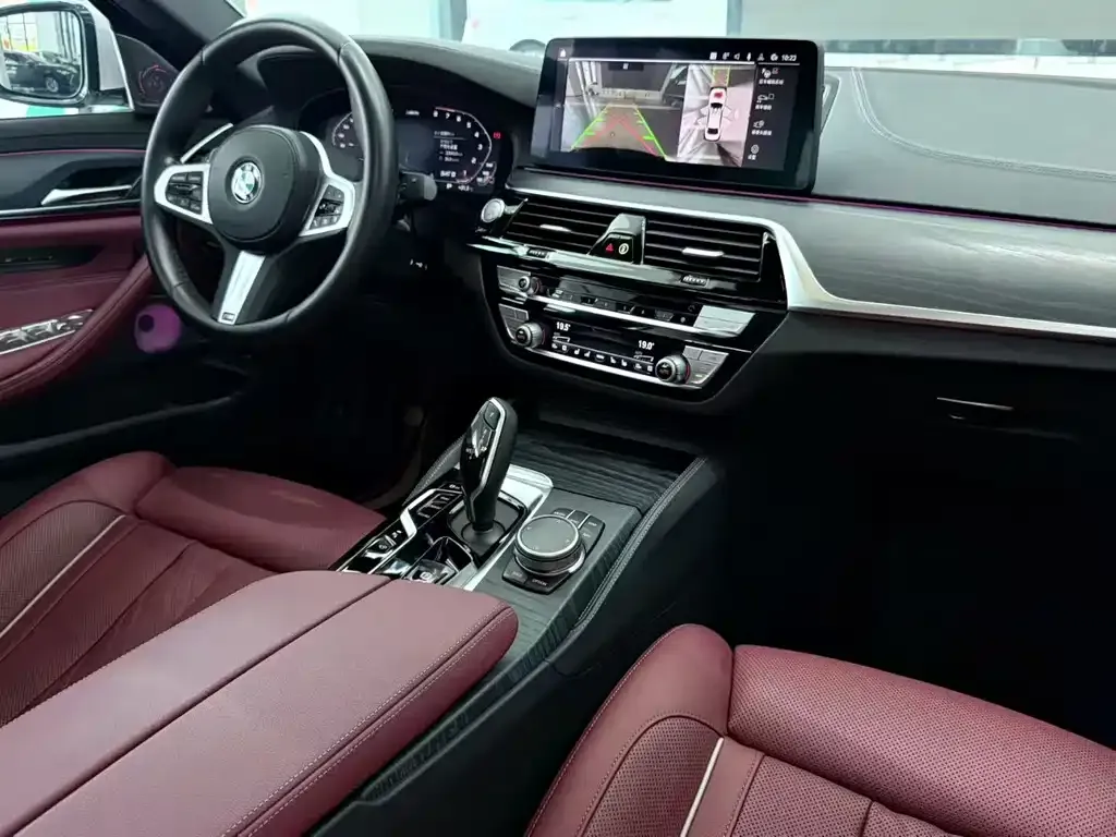 BMW 5 Series 2021 из CN, фото 9