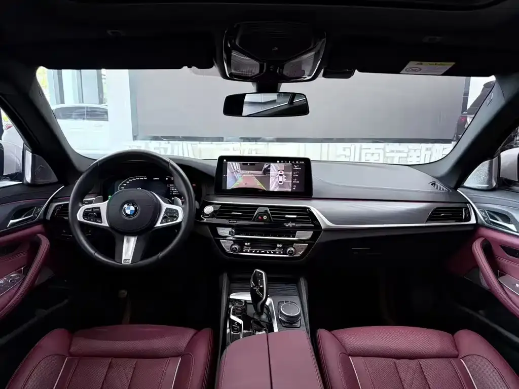 BMW 5 Series 2021 из CN, фото 6