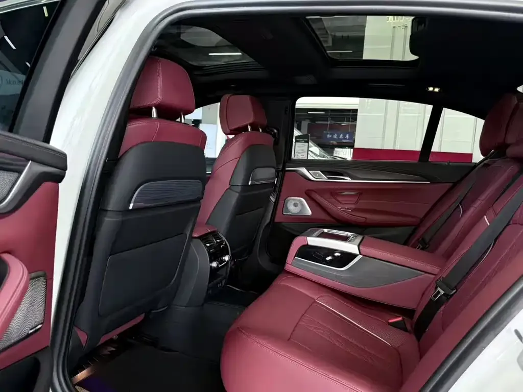 BMW 5 Series 2021 из CN, фото 8