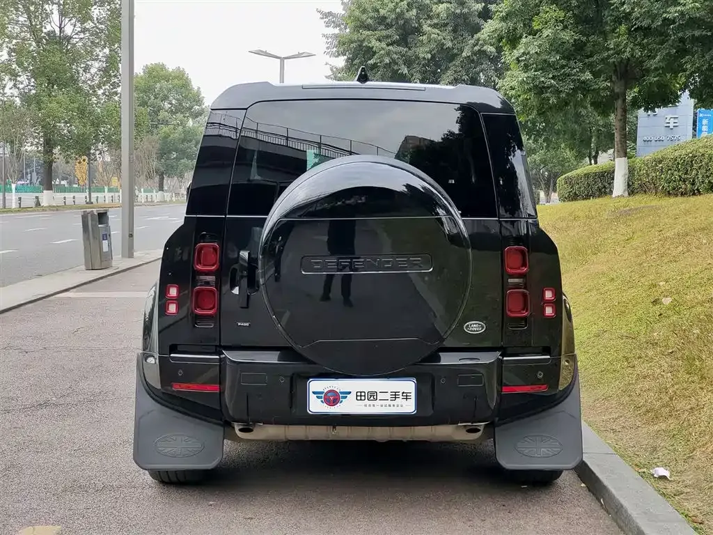 Land Rover Defender 2022 из CN, фото 5