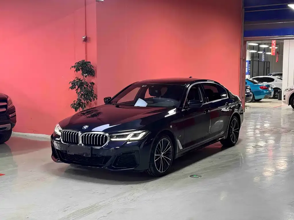 BMW 5 Series 2023 из CN, фото 1