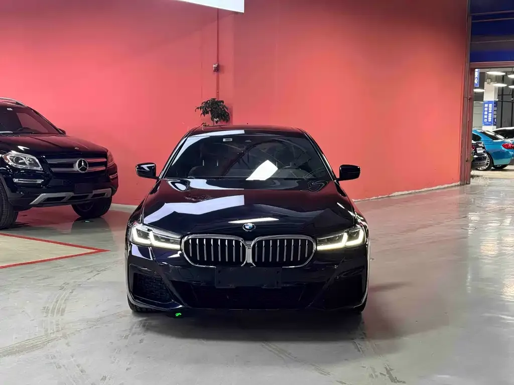 BMW 5 Series 2023 из CN, фото 7