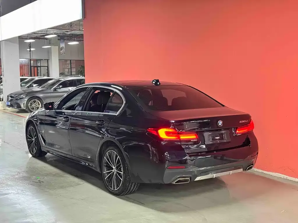 BMW 5 Series 2023 из CN, фото 6
