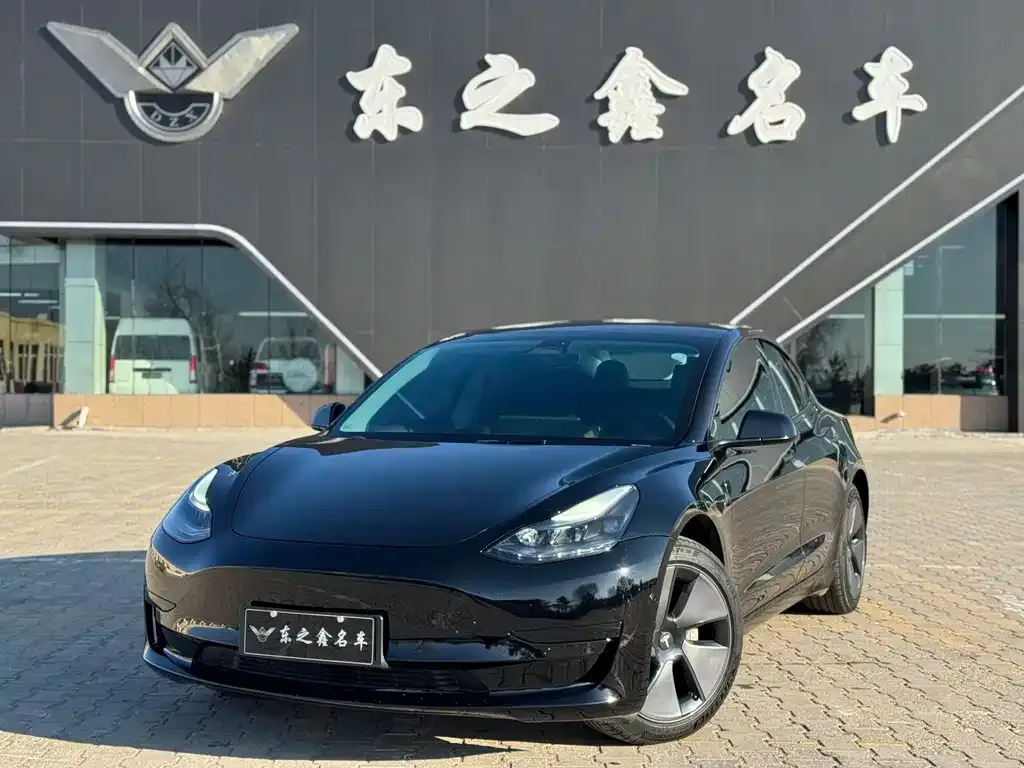 Tesla Model 3 2022 из CN, фото 1