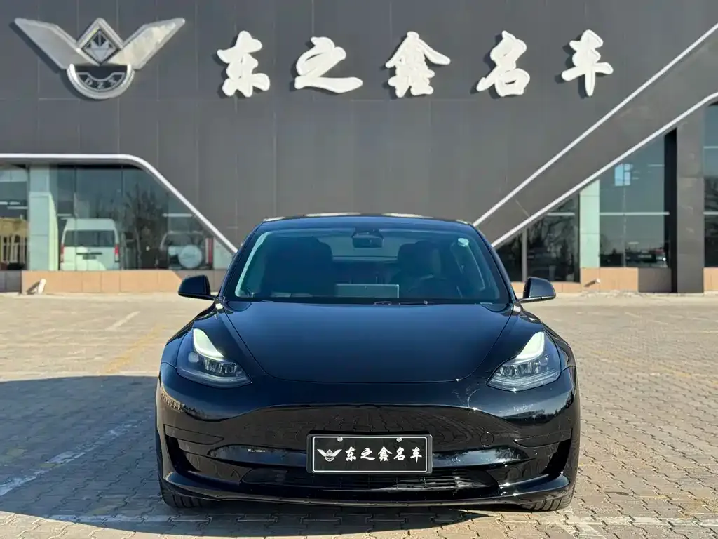 Tesla Model 3 2022 из CN, фото 3