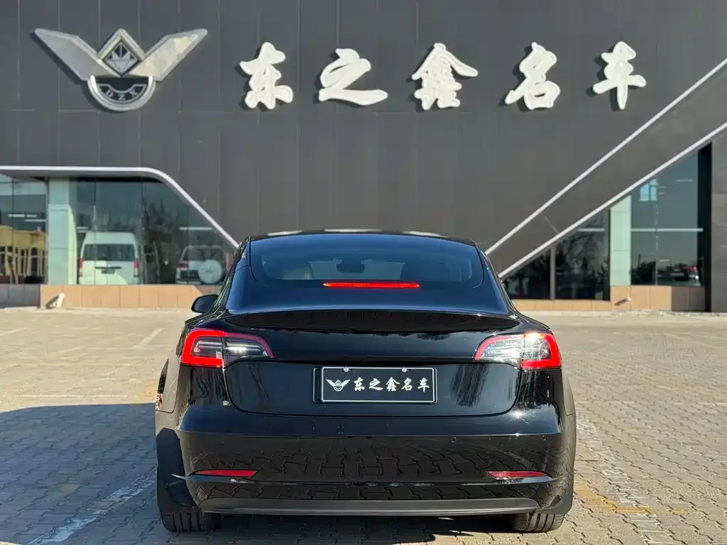 Tesla Model 3 2022 из CN, фото 9