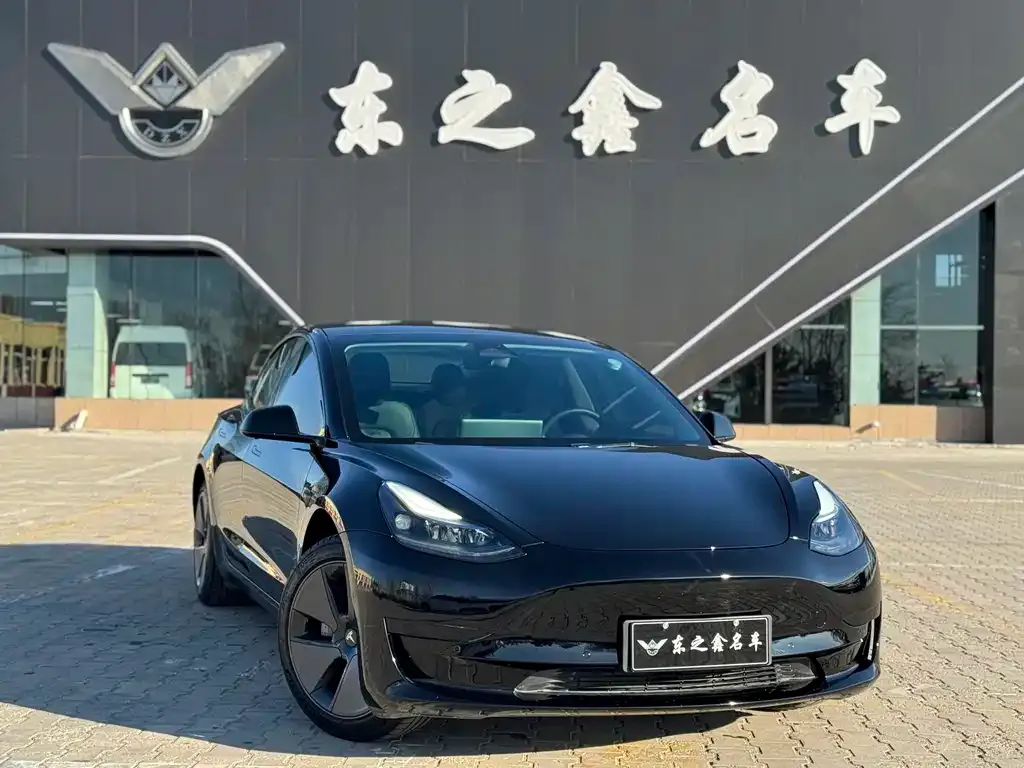 Tesla Model 3 2022 из CN, фото 6