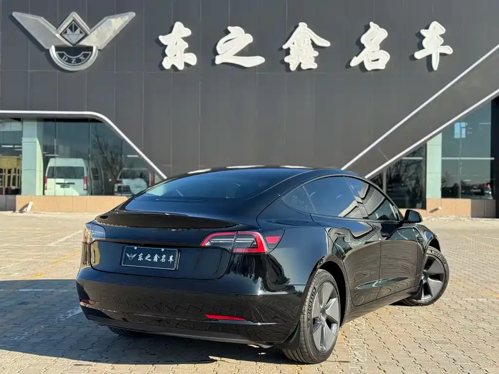 Tesla Model 3 2022 из CN, фото 5