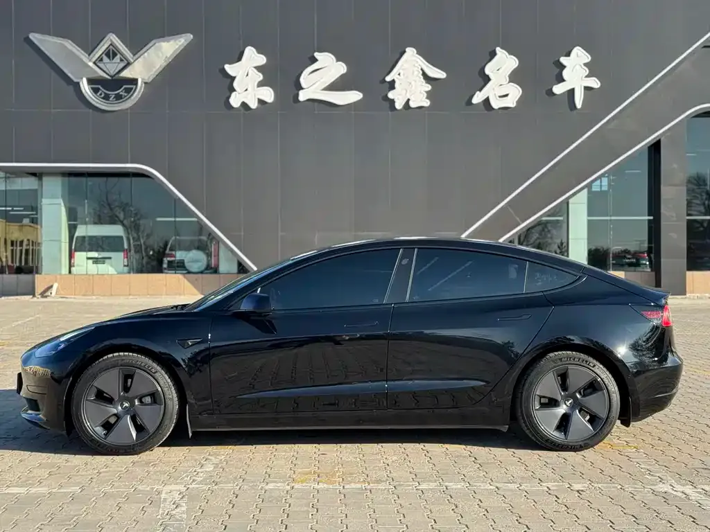 Tesla Model 3 2022 из CN, фото 2