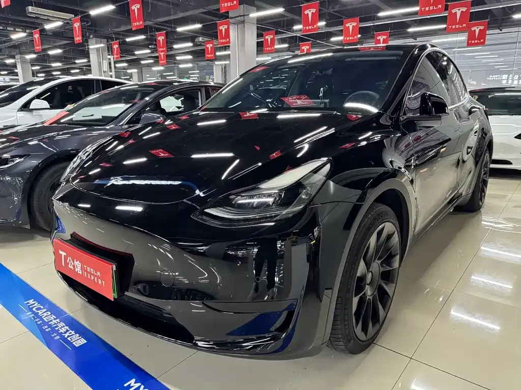 Tesla Model Y 2022 из CN, фото 1